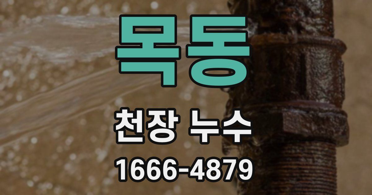 목동 천장 누수