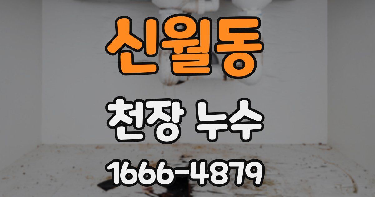 신월동 천장 누수