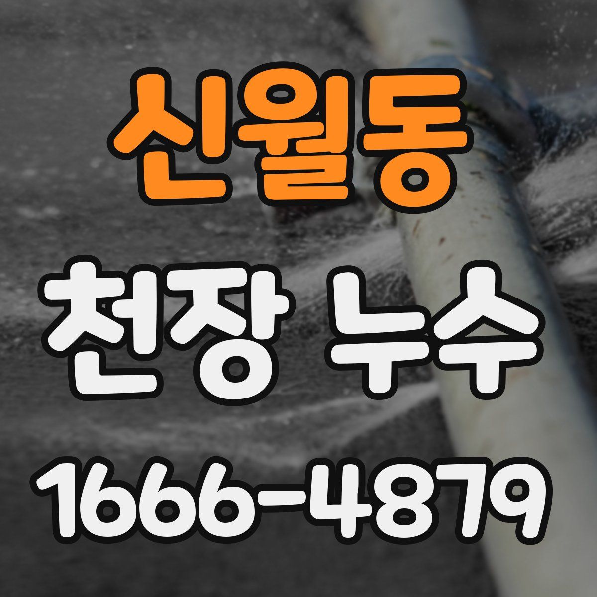 신월동 천장 누수