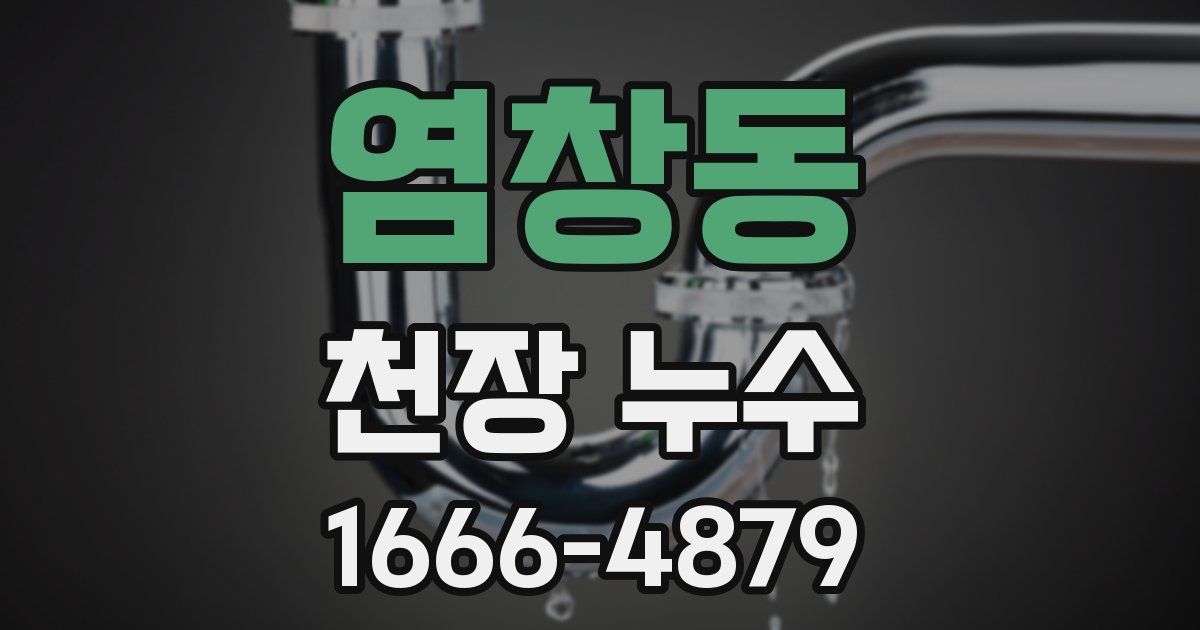 염창동 천장 누수
