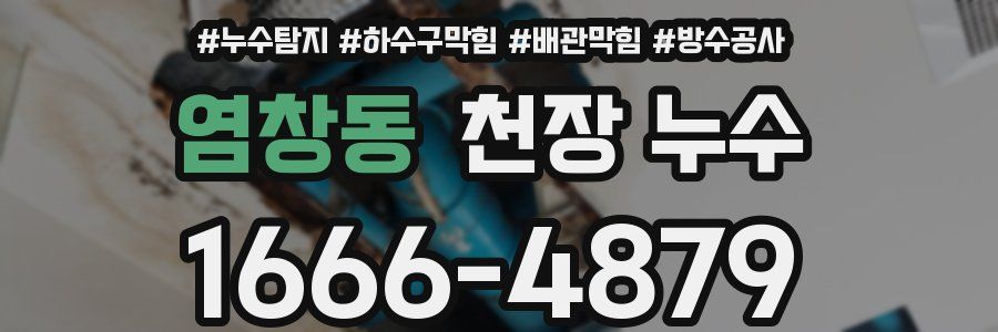 염창동 천장 누수