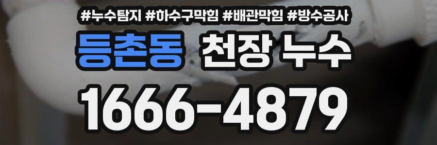 등촌동 천장 누수