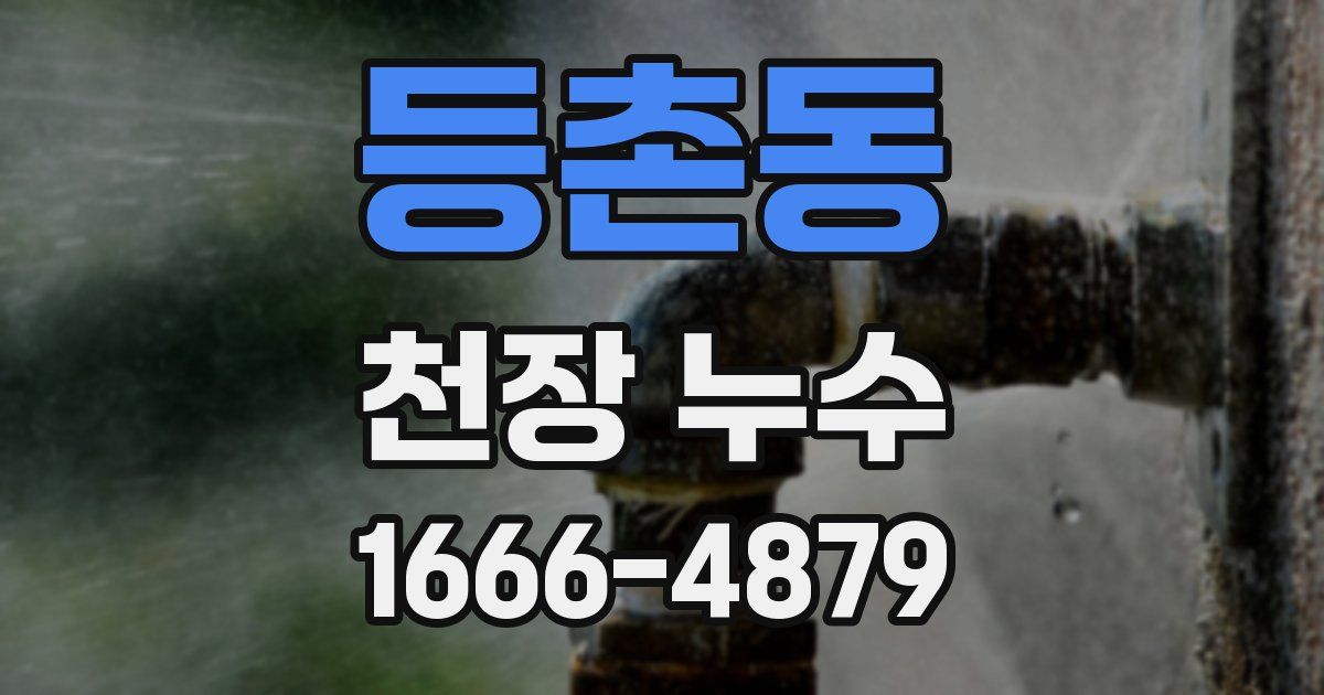 등촌동 천장 누수