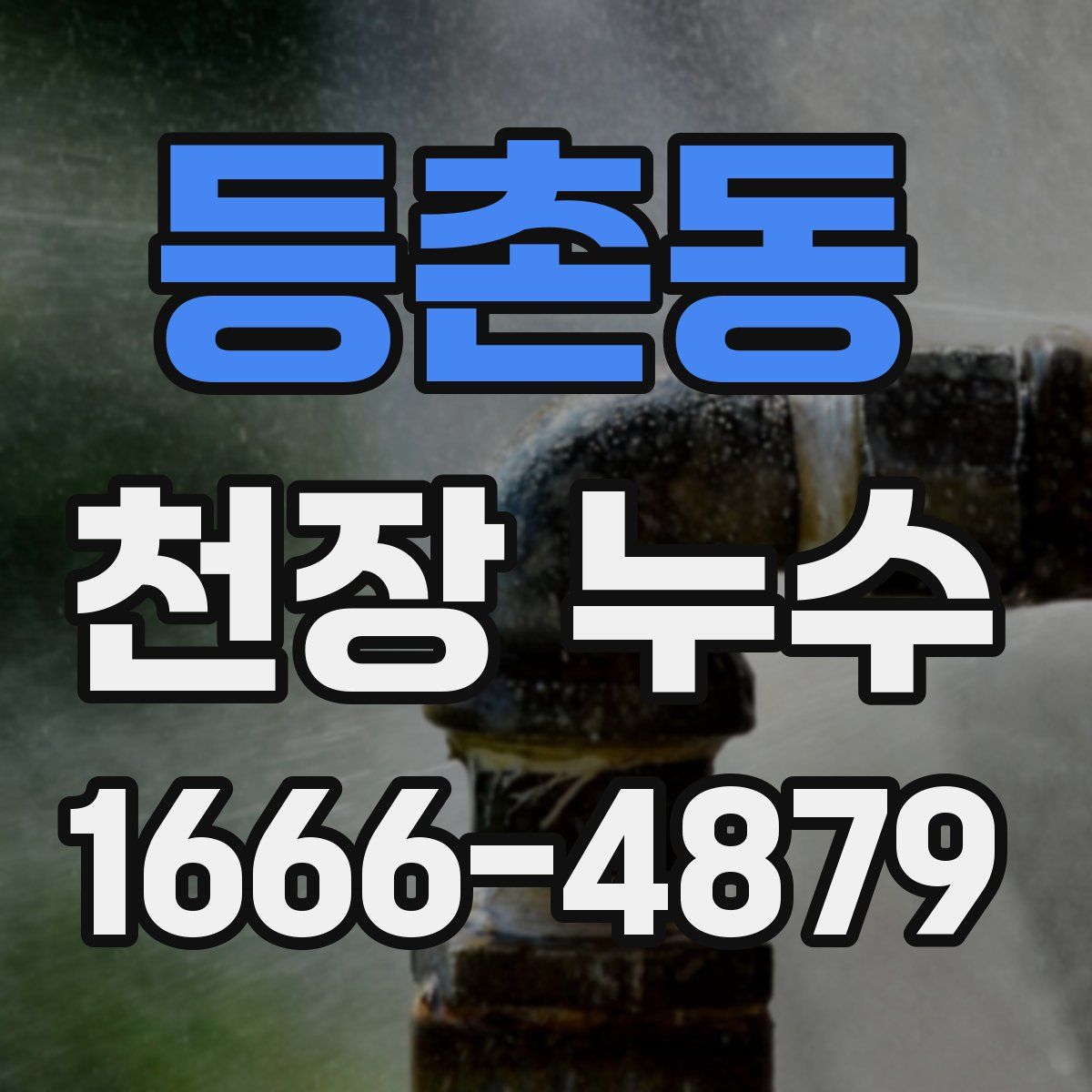 등촌동 천장 누수