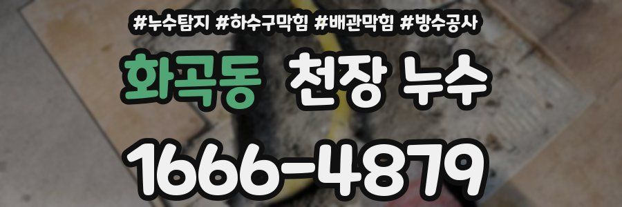 화곡동 천장 누수