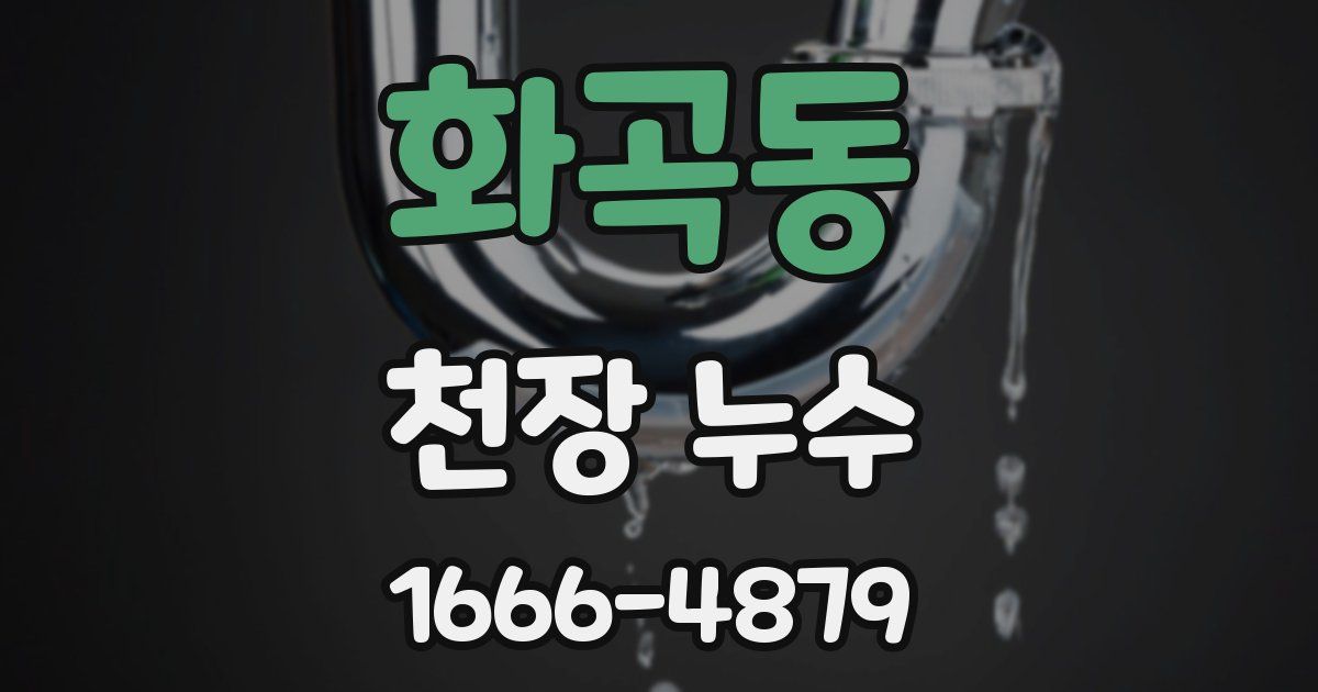 화곡동 천장 누수