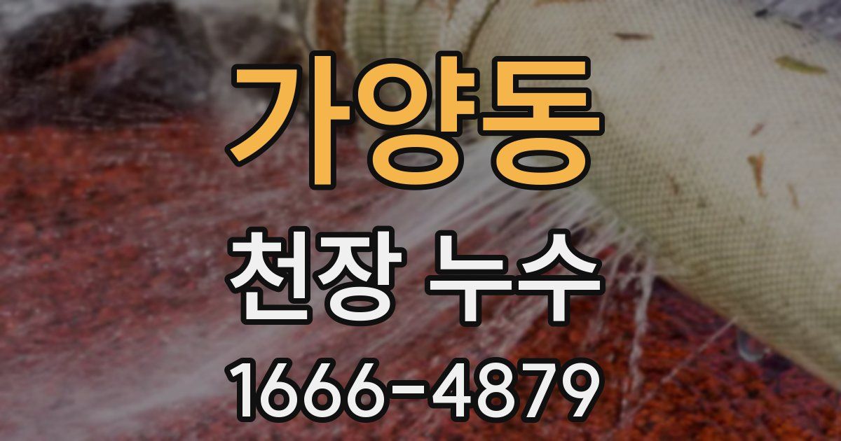 가양동 천장 누수