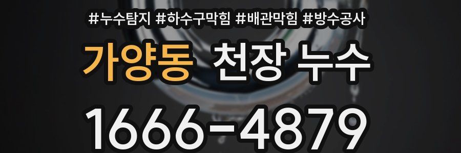 가양동 천장 누수
