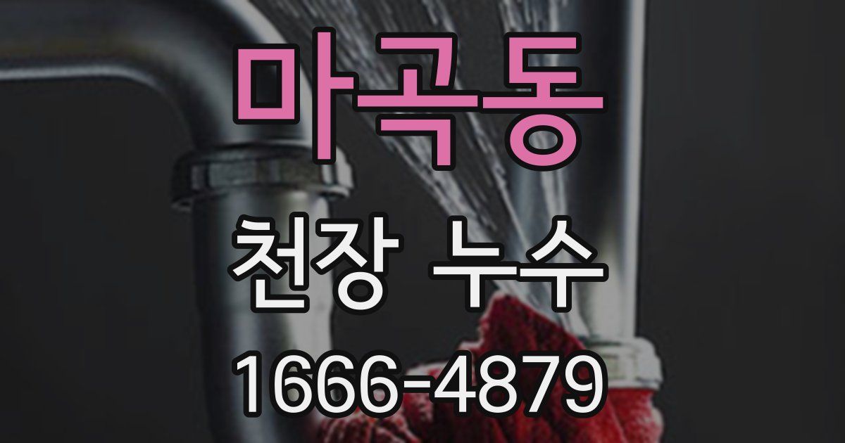 마곡동 천장 누수