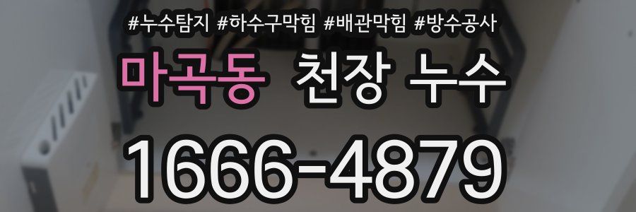 마곡동 천장 누수
