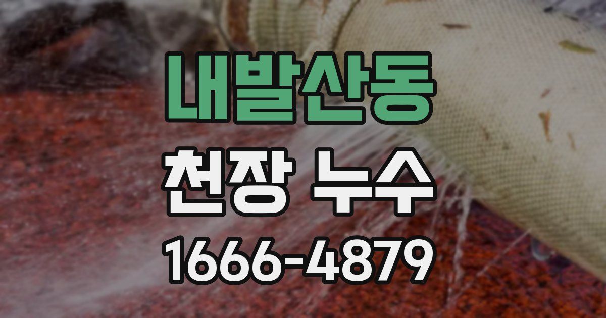 내발산동 천장 누수