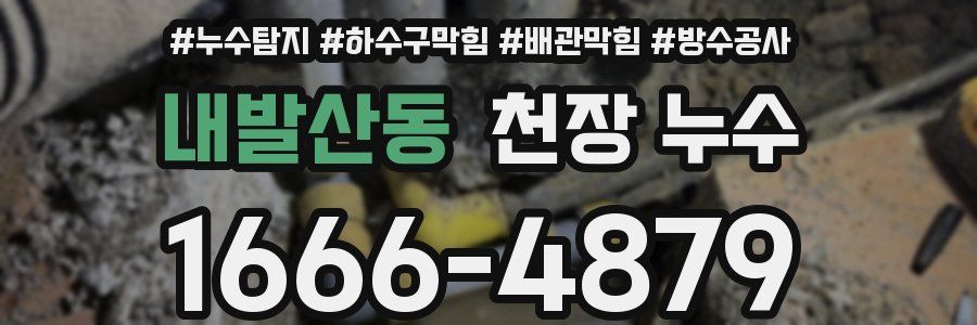 내발산동 천장 누수