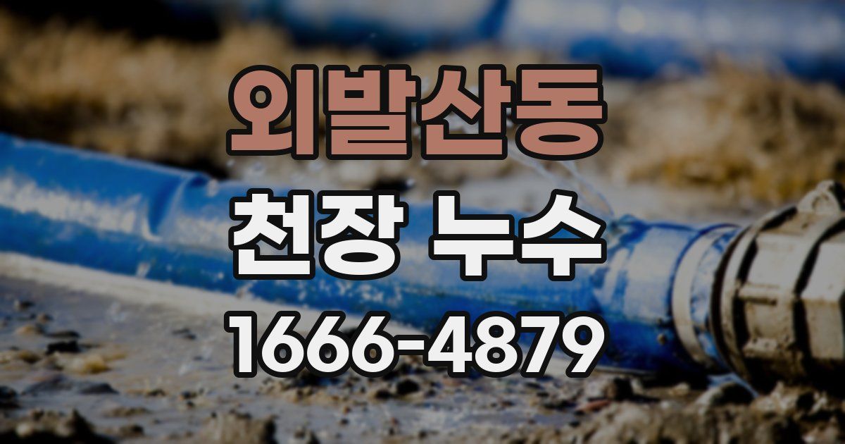 외발산동 천장 누수