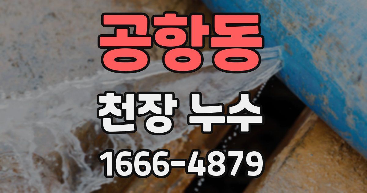 공항동 천장 누수