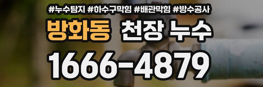 방화동 천장 누수
