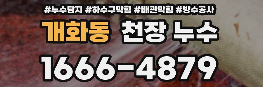 개화동 천장 누수