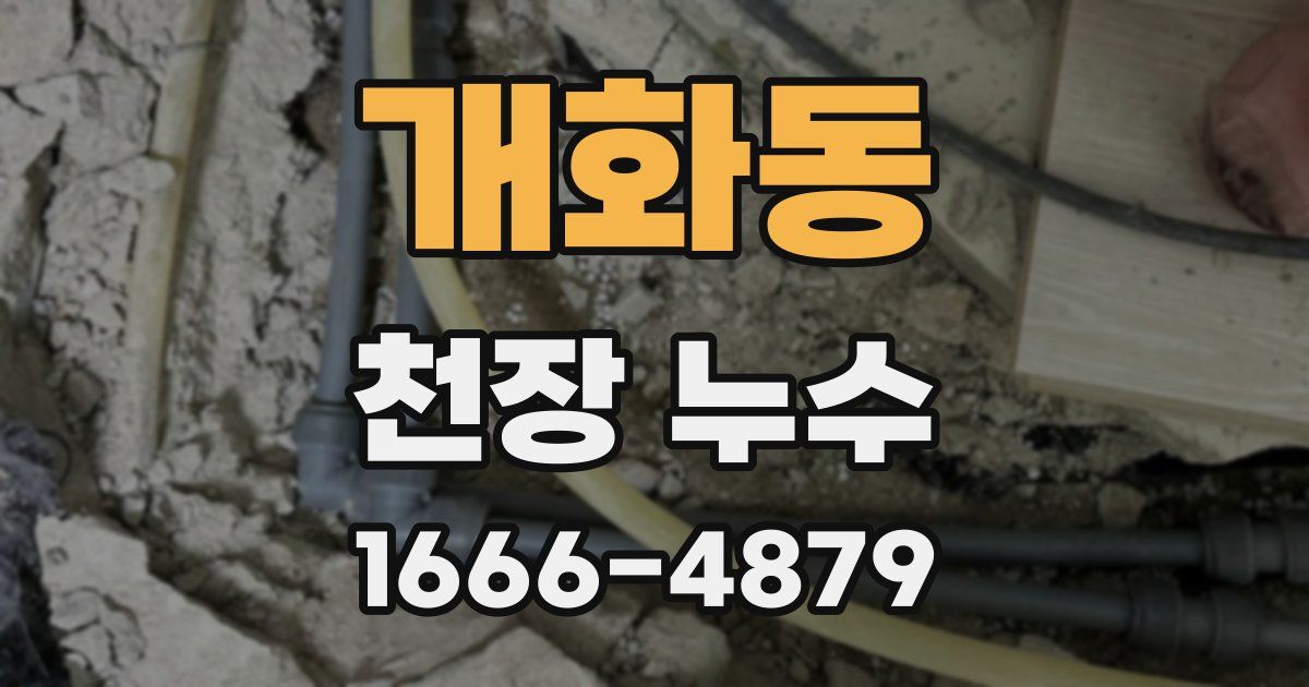 개화동 천장 누수