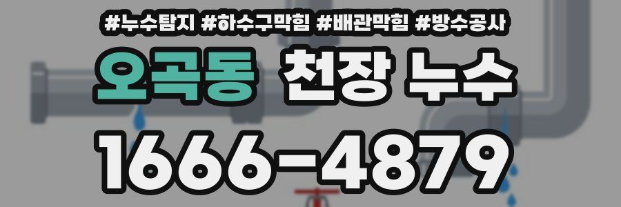 오곡동 천장 누수