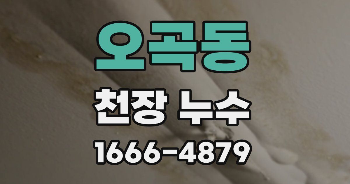 오곡동 천장 누수
