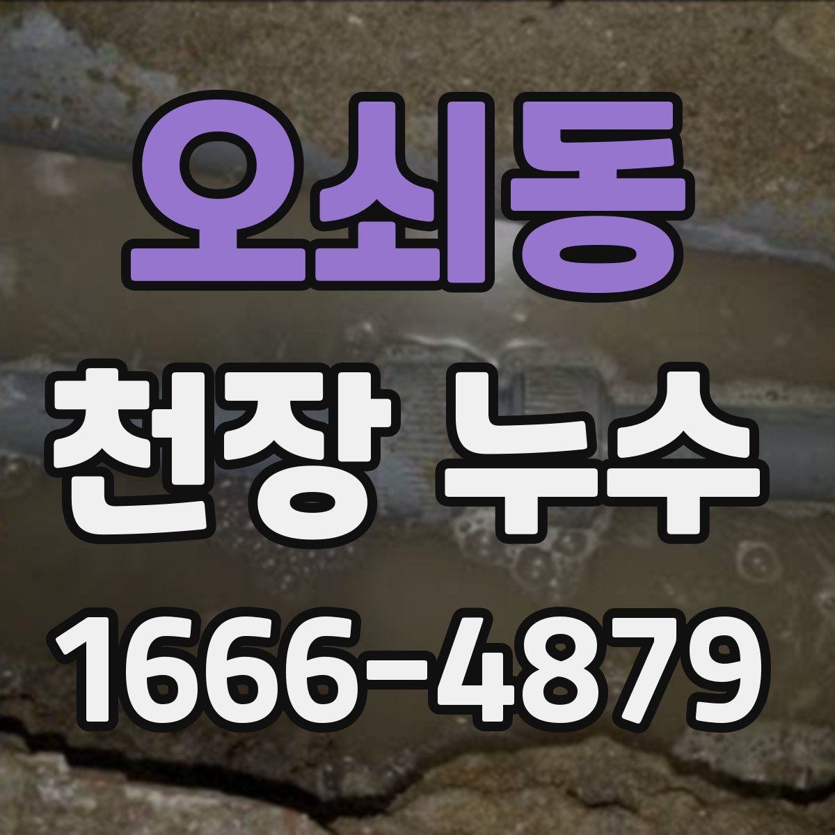오쇠동 천장 누수