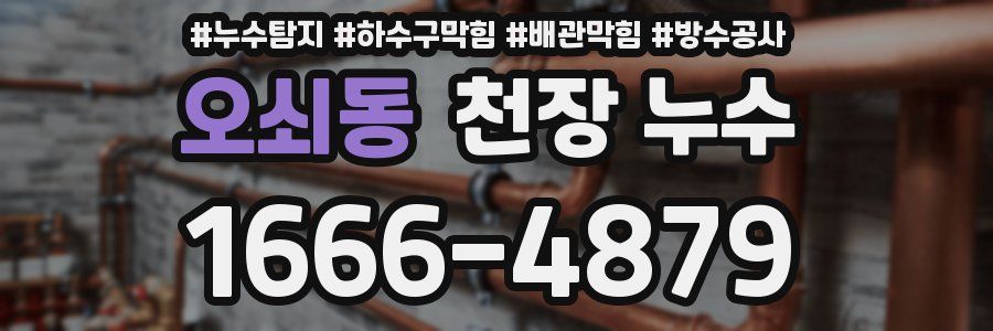 오쇠동 천장 누수