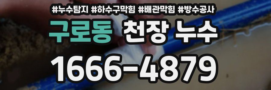 구로동 천장 누수