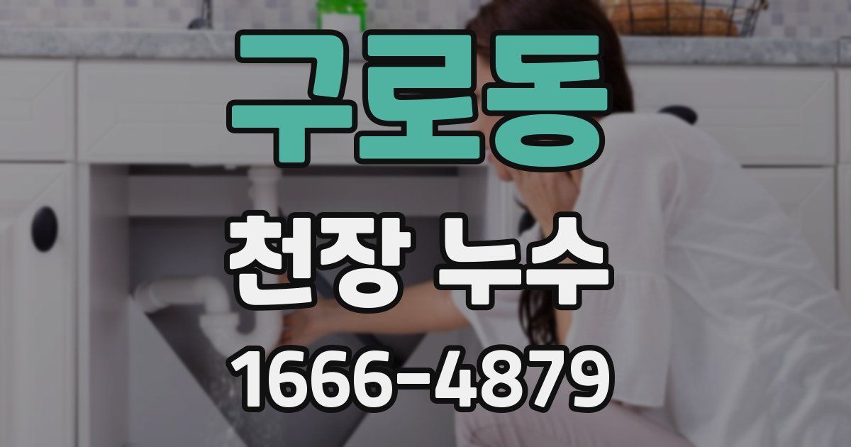 구로동 천장 누수