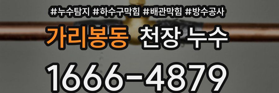 가리봉동 천장 누수