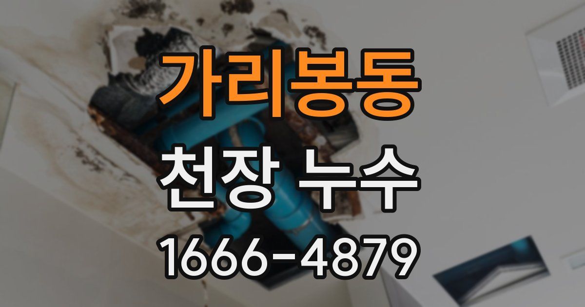 가리봉동 천장 누수