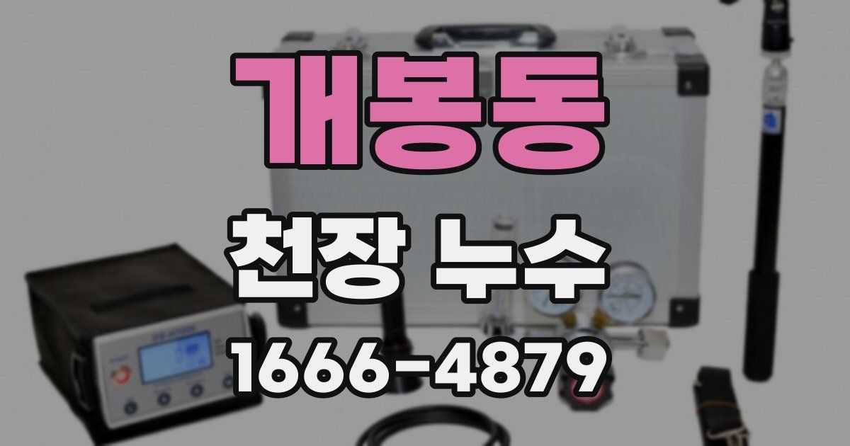 개봉동 천장 누수
