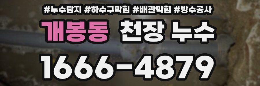 개봉동 천장 누수