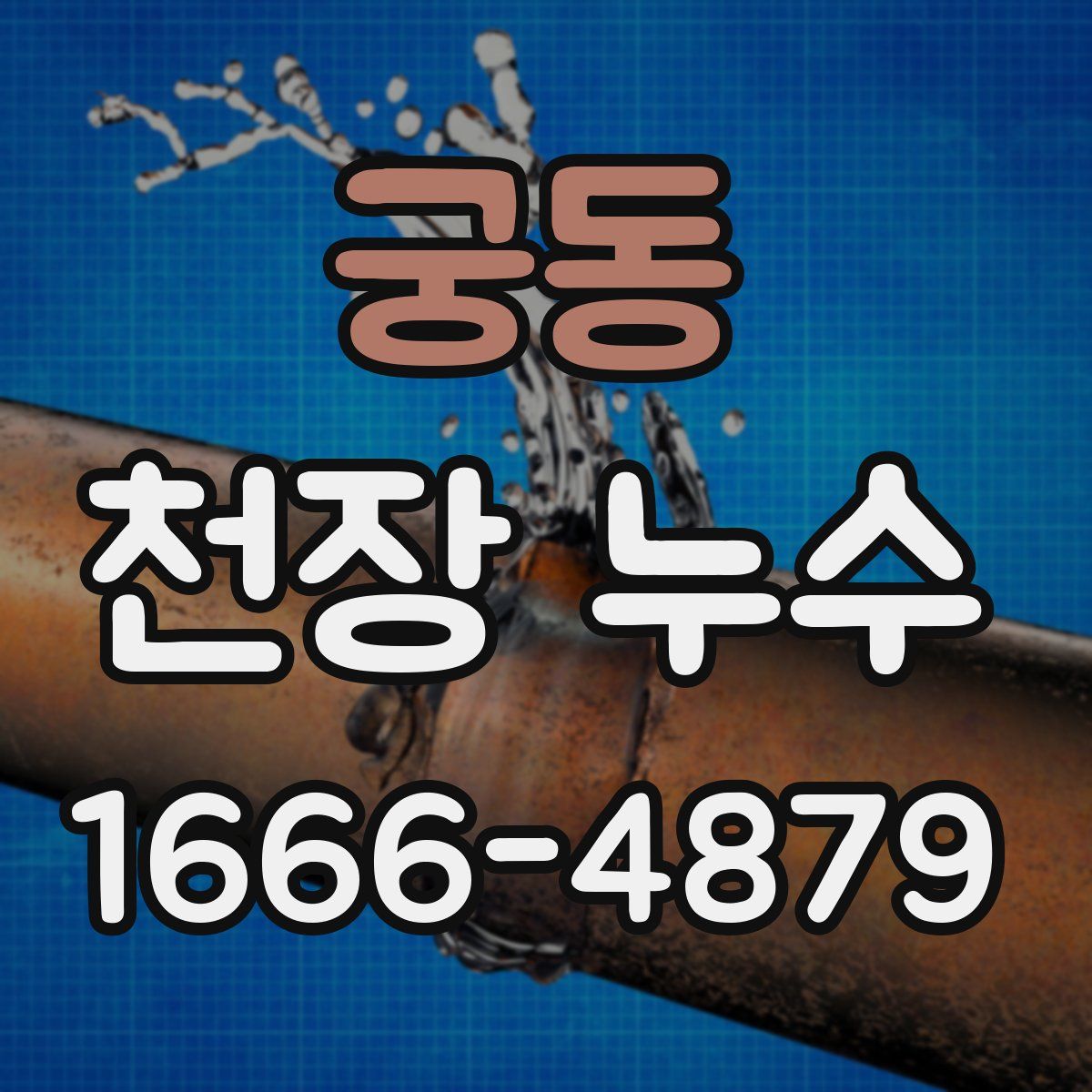 궁동 천장 누수
