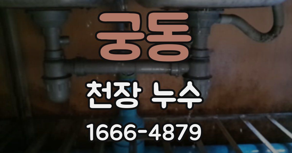 궁동 천장 누수
