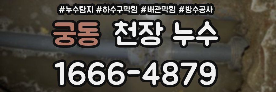 궁동 천장 누수