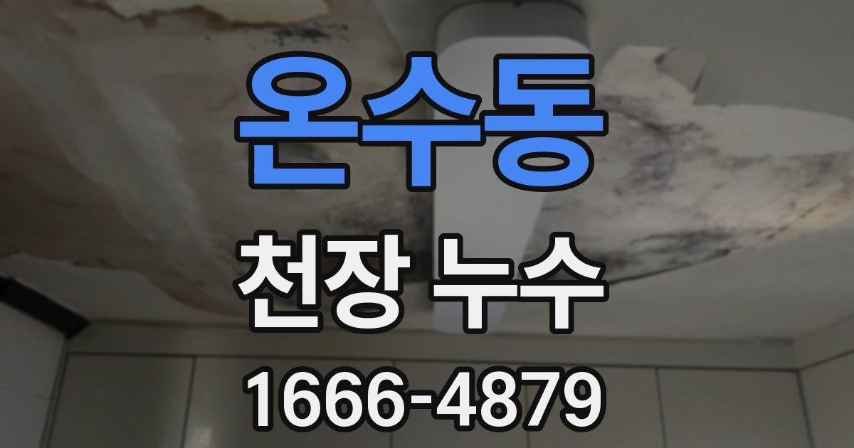 온수동 천장 누수