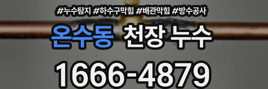 온수동 천장 누수