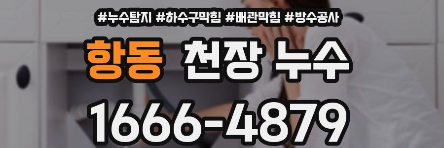 항동 천장 누수