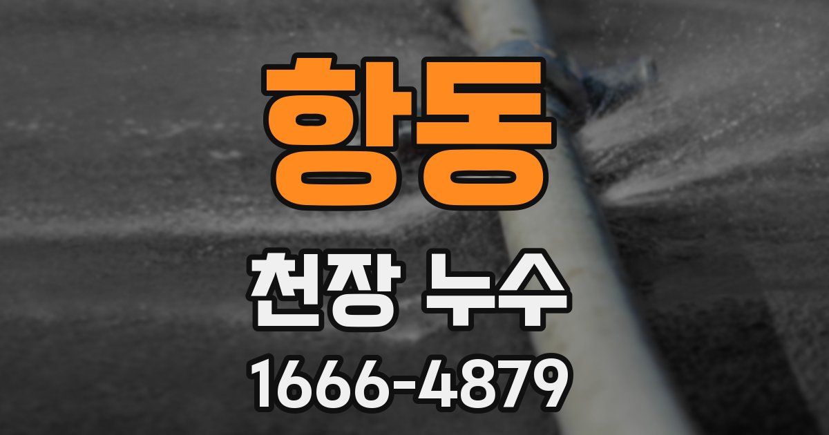 항동 천장 누수