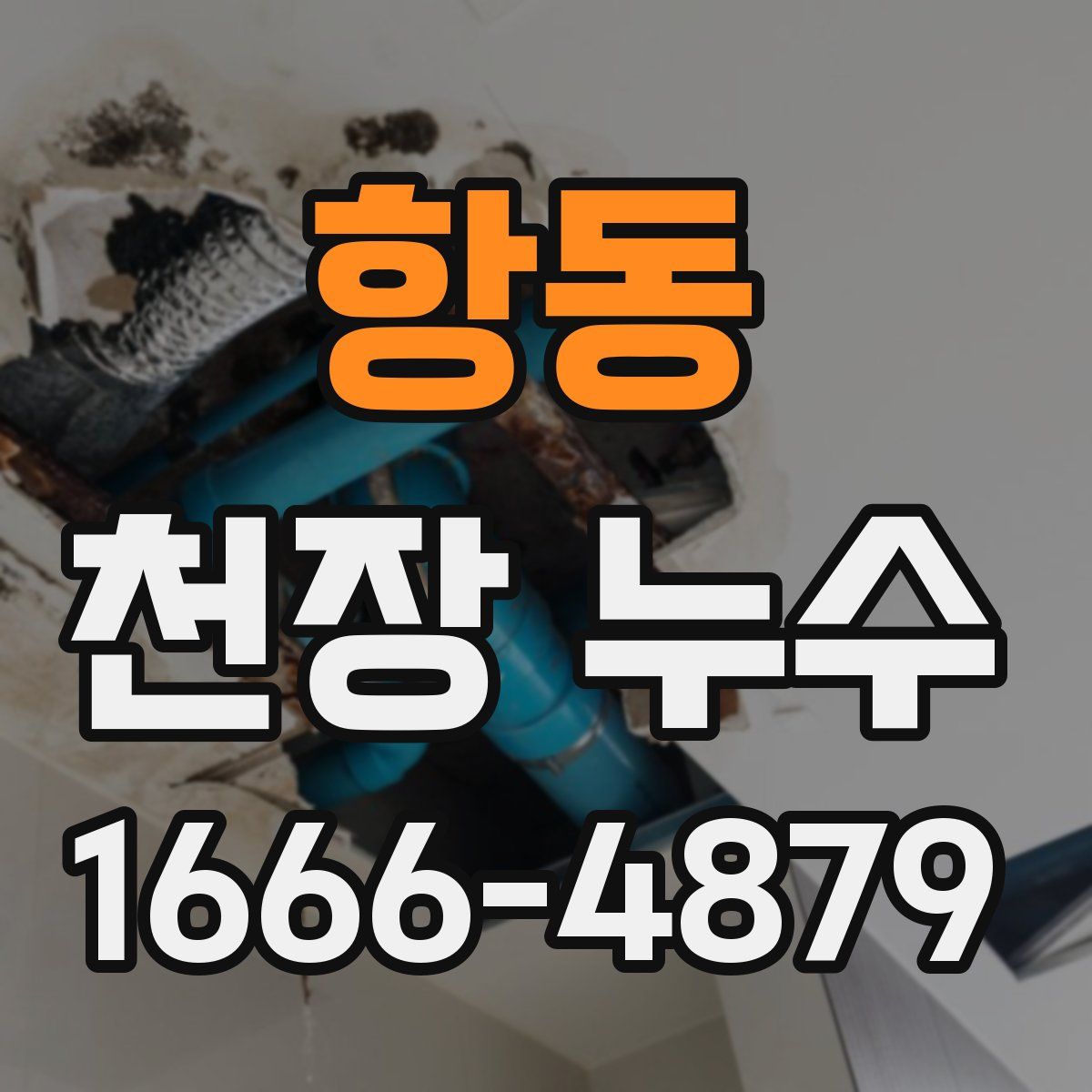 항동 천장 누수