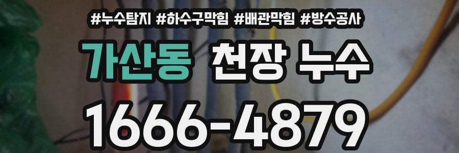 가산동 천장 누수