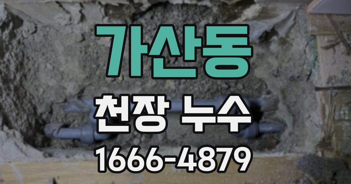 가산동 천장 누수