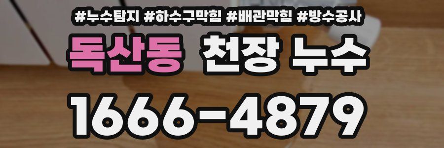 독산동 천장 누수