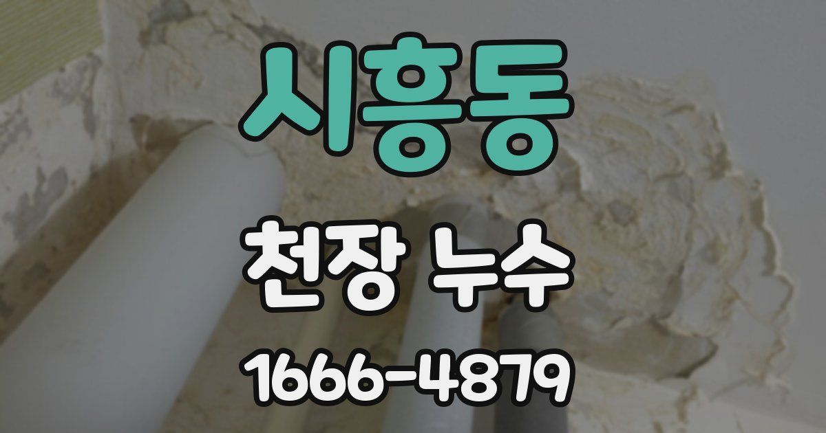 시흥동 천장 누수