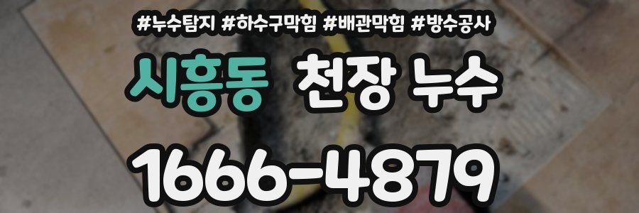 시흥동 천장 누수