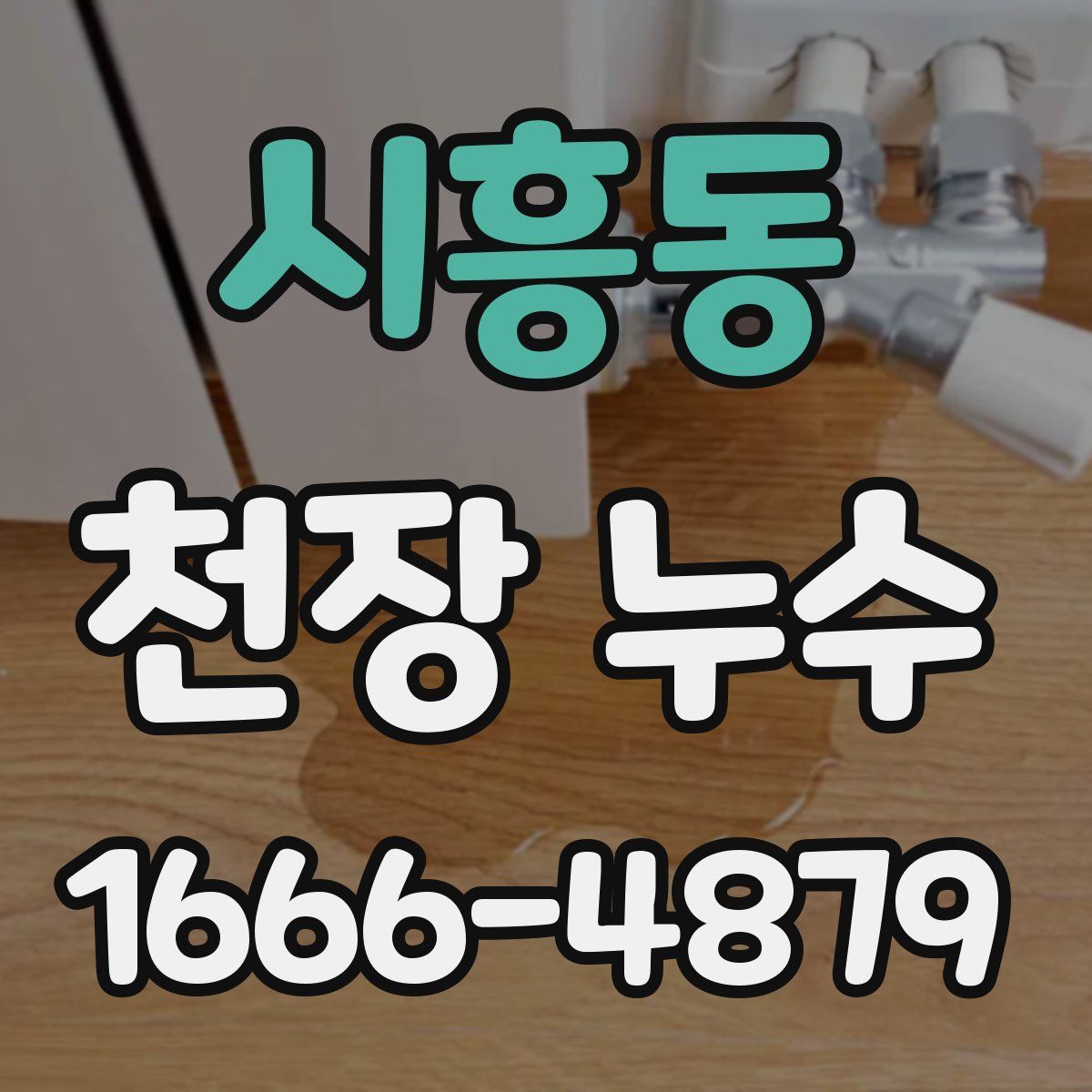 시흥동 천장 누수