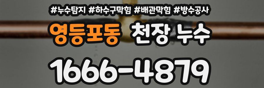 영등포동 천장 누수