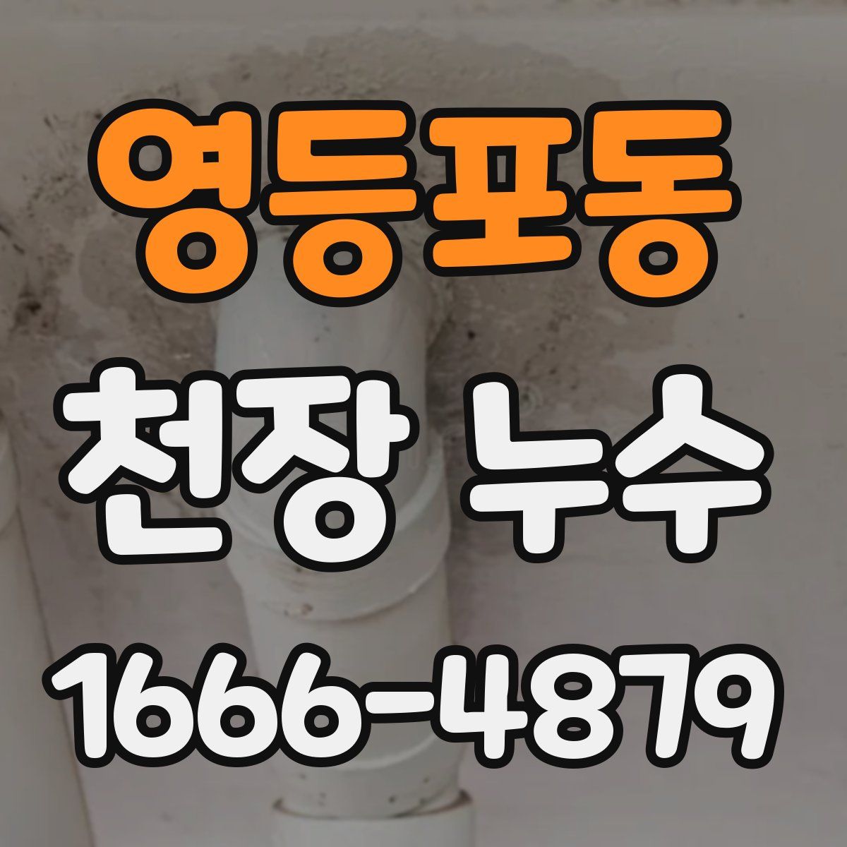 영등포동 천장 누수