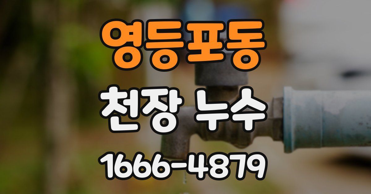 영등포동 천장 누수