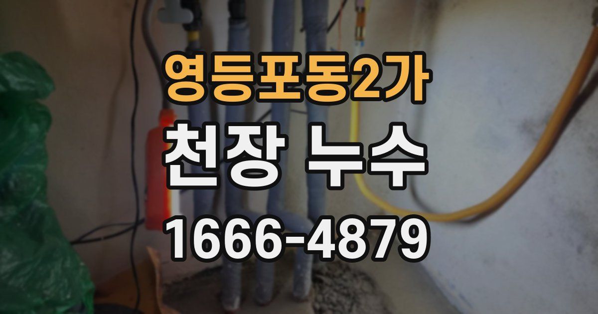 영등포동2가 천장 누수
