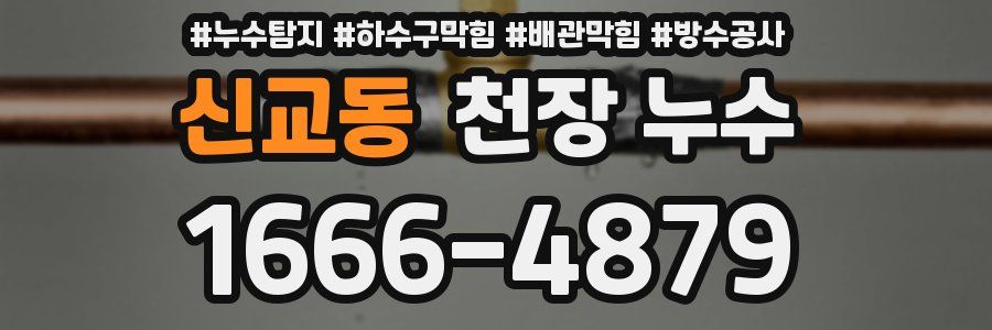 신교동 천장 누수
